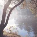 Environmental Protection...
